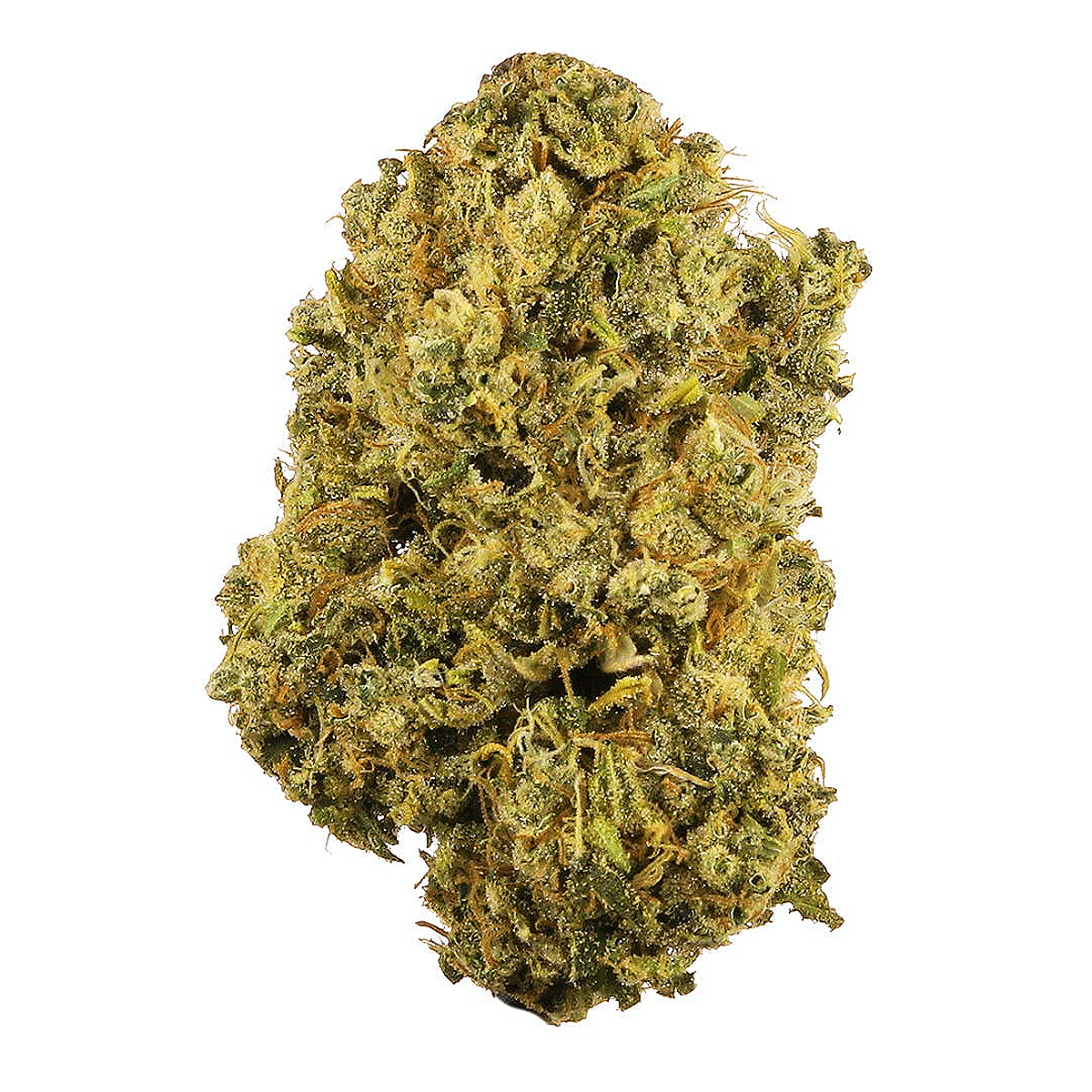  - Durban Poison